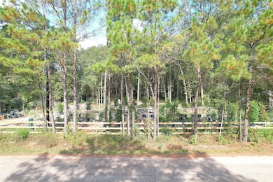 17648 Rhonda Ln, Montgomery, TX 77316 - photo 2