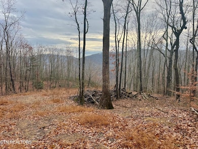 183 Persimmon Ln, Pioneer, TN 37847 - photo 4