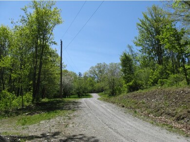 0 Brook Rd, Goshen, NH 03752 - photo 5