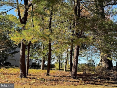 3 Beechtree Ln, Plainsboro, NJ 08536 - photo 3