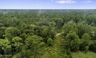 7368 Longridge Rd, Long Beach, MS 39560 - photo 4