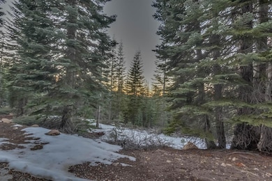 0 Prather Meadow Rd unit 225152963, Twain Harte, CA 95223 - photo 2