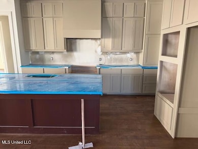 106 Herons Bay Cir, Madison, MS 39110 - photo 3