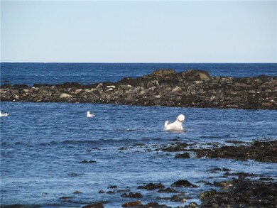 Pet friendly, the beautiful Seapoint...