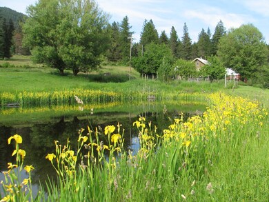 2551 Flowery Trail Rd, Chewelah, WA 99109 - photo 5