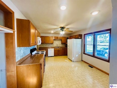 8146 Hardinsburg Rd, Cecilia, KY 42724 - photo 3