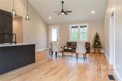 322 Gouges Branch Rd, Leicester, NC 28748 - photo 6