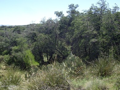 Oak Trees
