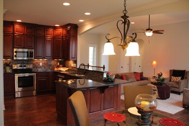 BF knook looking into kitchen