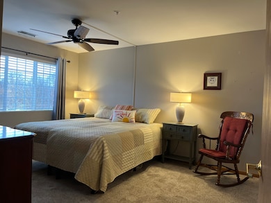 Village Green Condominiums unit 216, East Dundee, IL 60118 - photo 6