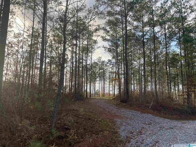 220 Saddlewood Trails Pkwy unit 1, Columbiana, AL 35051 - photo 3