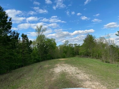 7 Crest Line Dr, Upatoi, GA 31829 - photo 2