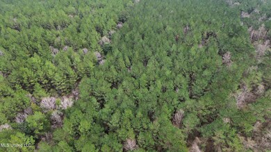 0 Mount Gilead Rd, McCall Creek, MS 39647 - photo 7