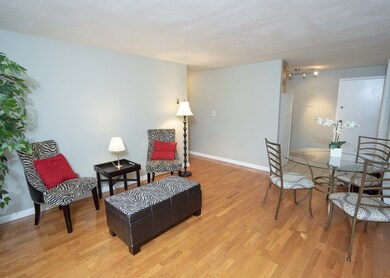 12 Woodland St unit 25, Everett, MA 02149 - photo 2