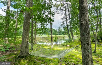 6588 Elizabeths Ln, Rock Hall, MD 21661 - photo 5