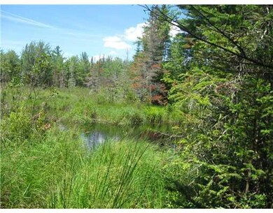 Reed Stream