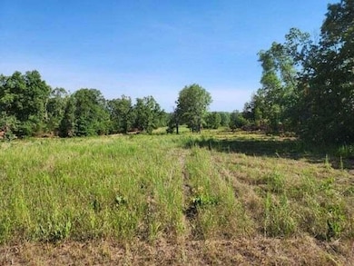 000 Stone Ridge Rd Tract B, Huggins, MO 65484 - photo 5