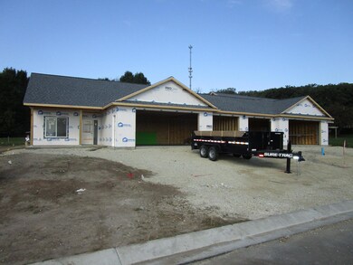 814 3rd Ave NW, Pine Island, MN 55963 - photo 2