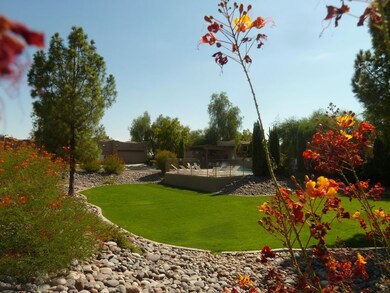 Parklinks pool & grassy area