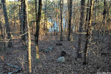 00 Lookout Dr, Tumbling Shoals, AR 72581 - photo 5