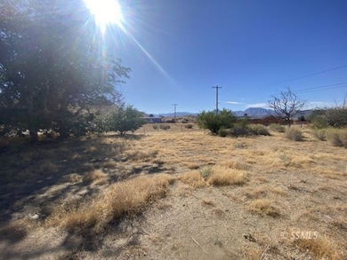 8521 Fremontia Way, Weldon, CA 93240 - photo 4