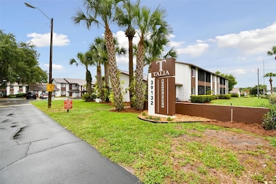 39132 County Road 54 unit 2054, Zephyrhills, FL 33542 - photo 4