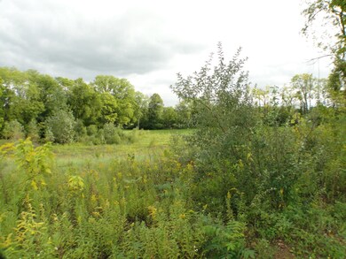 DSC07467