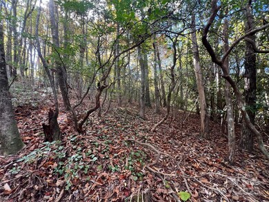 0 Wild Magnolia Way unit 46, Zirconia, NC 28790 - photo 7