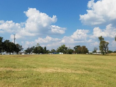 730 E Rock Island Ave, Boyd, TX 76023 - photo 5