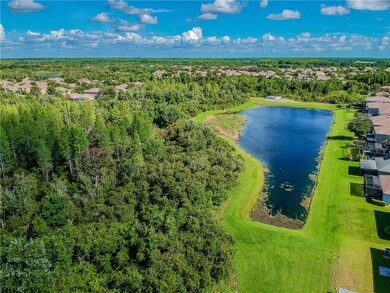 9702 Maxson Dr, Land O Lakes, FL 34638 - photo 3