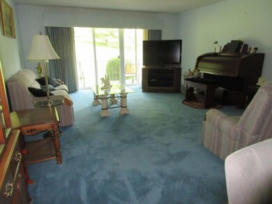 202 University Pkwy unit 3E, Johnson City, TN 37604 - photo 6