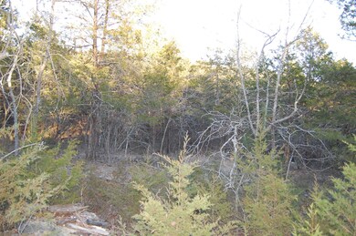 286 Peninsula Estates Ln, Kimberling City, MO 65686 - photo 5