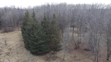 6699 Bridle Path, Corcoran, MN 55340 - photo 4