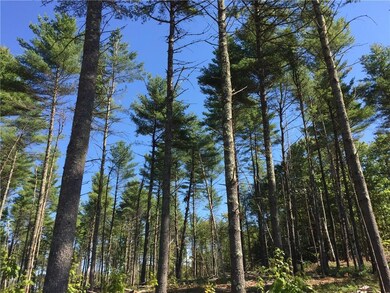 596 N Bridgton Rd, Bridgton, ME 04009 - photo 6