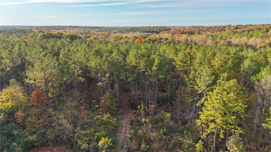 0 County Road 95 unit 177919, Lafayette, AL 36862 - photo 5