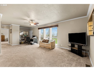 22170 Tiller Trail Hwy, Days Creek, OR 97429 - photo 4