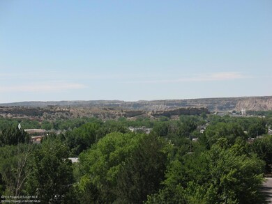 2825 Brittlebrush Dr, Farmington, NM 87402 - photo 4