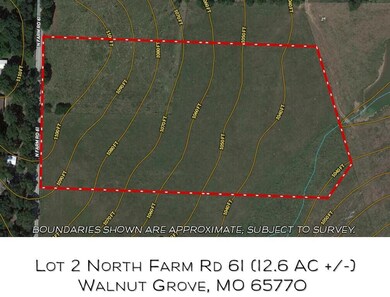 Lot 2 N Farm Road 61, Walnut Grove, MO 65770 - photo 4