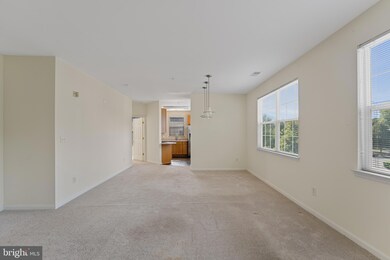 9609 Devedente Dr unit 201, Owings Mills, MD 21117 - photo 7