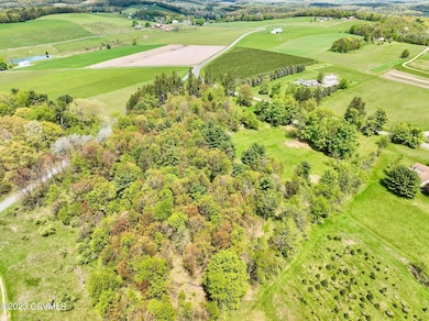 LOT 3 Ridge Rd, Benton, PA 17814 - photo 2