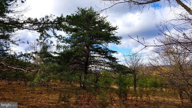 0 Orion Ct unit WVMO2001398, Berkeley Springs, WV 25411 - photo 6