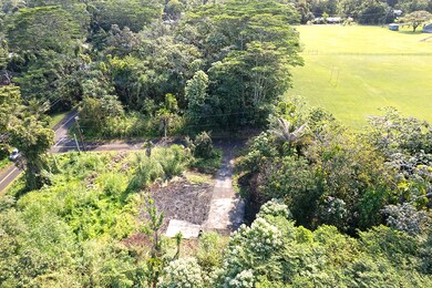 15-362 Mamo St, Pahoa, HI 96778 - photo 5