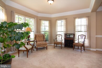 7407 Leaf Shade Ct, Laurel, MD 20707 - photo 6