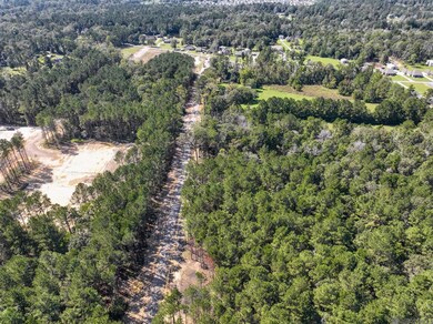 34754 Clinton Allen Rd, Denham Springs, LA 70706 - photo 6