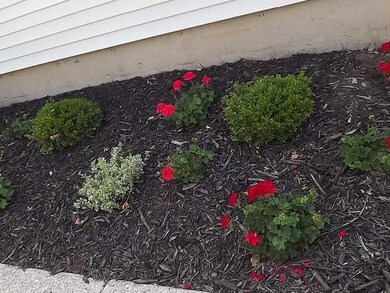 Exterior Front Landscaping already done for the se