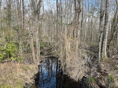 0 Burlington Rd, Walterboro, SC 29488 - photo 3