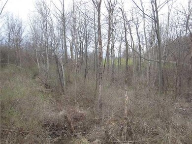 Land. Looking at some of the 324  of road frontage