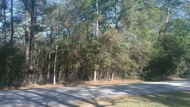 Lot 48 Pipestone Rd, Magnolia, TX 77354 - photo 2