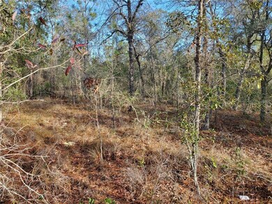 0 SE 30th St unit OM613989, Morriston, FL 32668 - photo 7