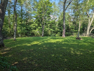 PXL_20240605_211241128